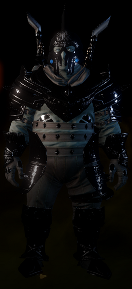 Stone Stalker Coat Image