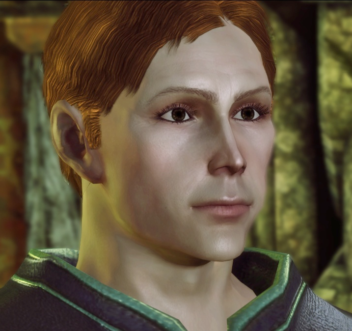 dragon age origins witch hunt