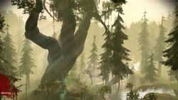Guide for Dragon Age: Origins - Brecilian Forest