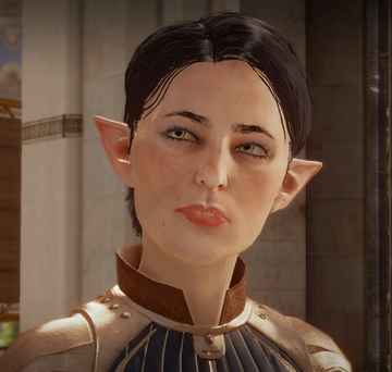 The Warden, Dragon Age Wiki