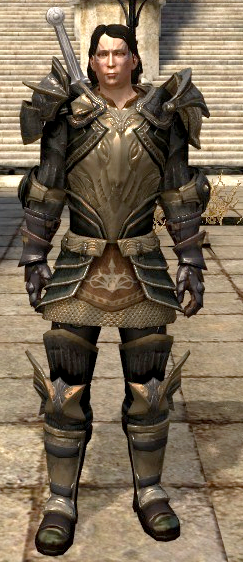 ведьмак 3 кровь и вино гроссмейстерские доспехи. доспех забытого. ведьмак 3 броня волка гроссмейстерская. Dragon age origins моды на броню. Wow 3.