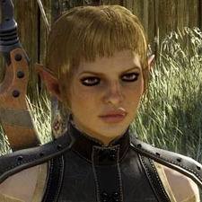 Seras Profil auf der offiziellen Dragon Age: Inquisition Website