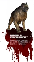 Publicidad el Perro en Dragon Age: Origins