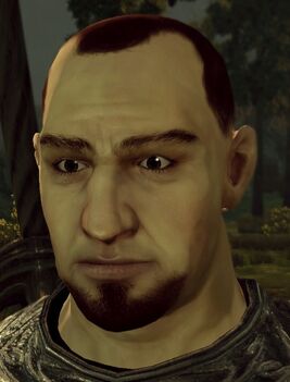 Ser Jory image