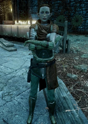 Charter w twierdzy Caer Bronach