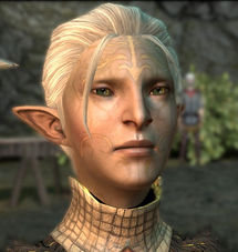 Keeper Marethari changes vallaslin in Dragon Age II (complex version)