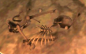 Piles of bones are long dead humanoids, they often have some items of use near their remains.