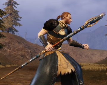 Magic Staff, Dragon Age Wiki