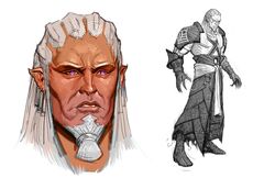 Sten - Characters - Introduction, Dragon Age Origins & Awakening