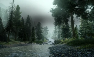 Storm Coast Inquisition.jpg (550 KB) Small stream heading to the sea