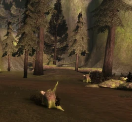 Area-Forest Clearing