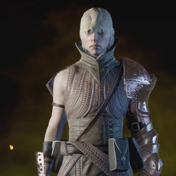 The Skin That Shields Schematic Dragon Age Wiki Fandom