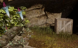 Safeguard Against Looters Crate