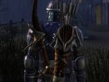 Darkspawn Longbow (Awakening)