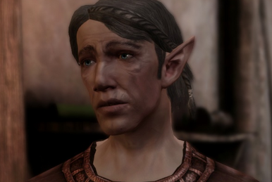 Dragon age city elf origin