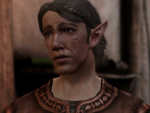 City Elf Origin, Dragon Age Wiki