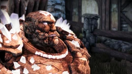 Large Flawed Ice Crystal