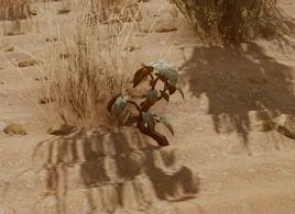 Шип дракона