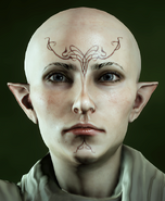 Vallaslin de Ghilan'nain en Inquisition.