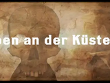 Scherben an der Küste