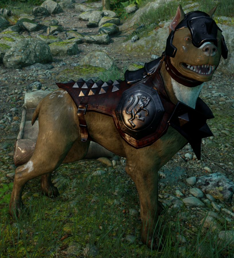 dragon age origins mabari dragon age origins mabari