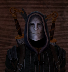 Mask