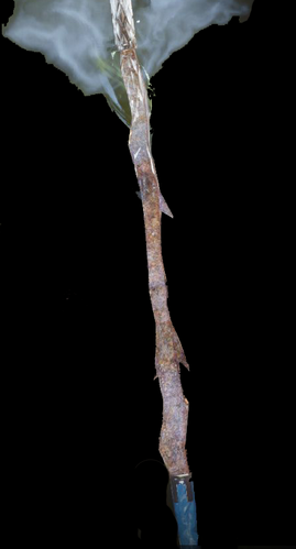 Thorny Staff Grip