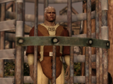 El prisionero qunari