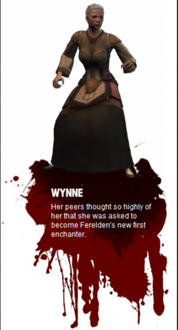 Wynne - Characters - Introduction, Dragon Age Origins & Awakening