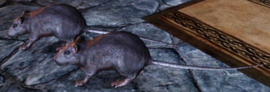 Rato Gigante, Wikia Dragon's Bone Tavern