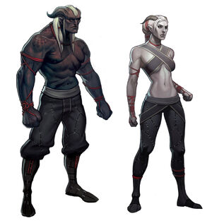 Qunari.jpg