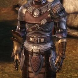 Armor (Origins), Dragon Age Wiki