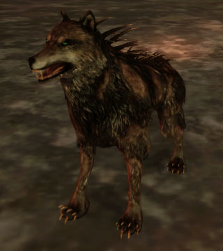 dragon age dark wolf dragon age dark wolf