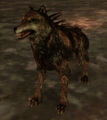 A blight wolf from Dragon Age: Origins