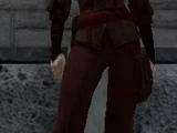 The Messenger (set)