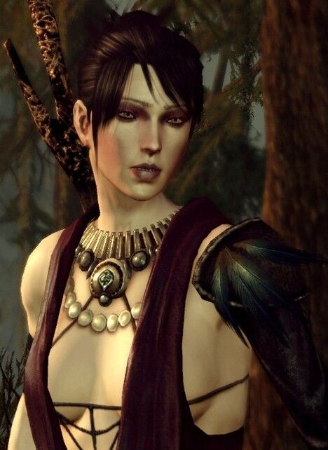 In Dragon Age: Origins , there is idle companion dialogue where  Leliana(another companion) comes up with a dress idea for Morrigan , 2  games later In Dragon Age: Inquisition when you meet