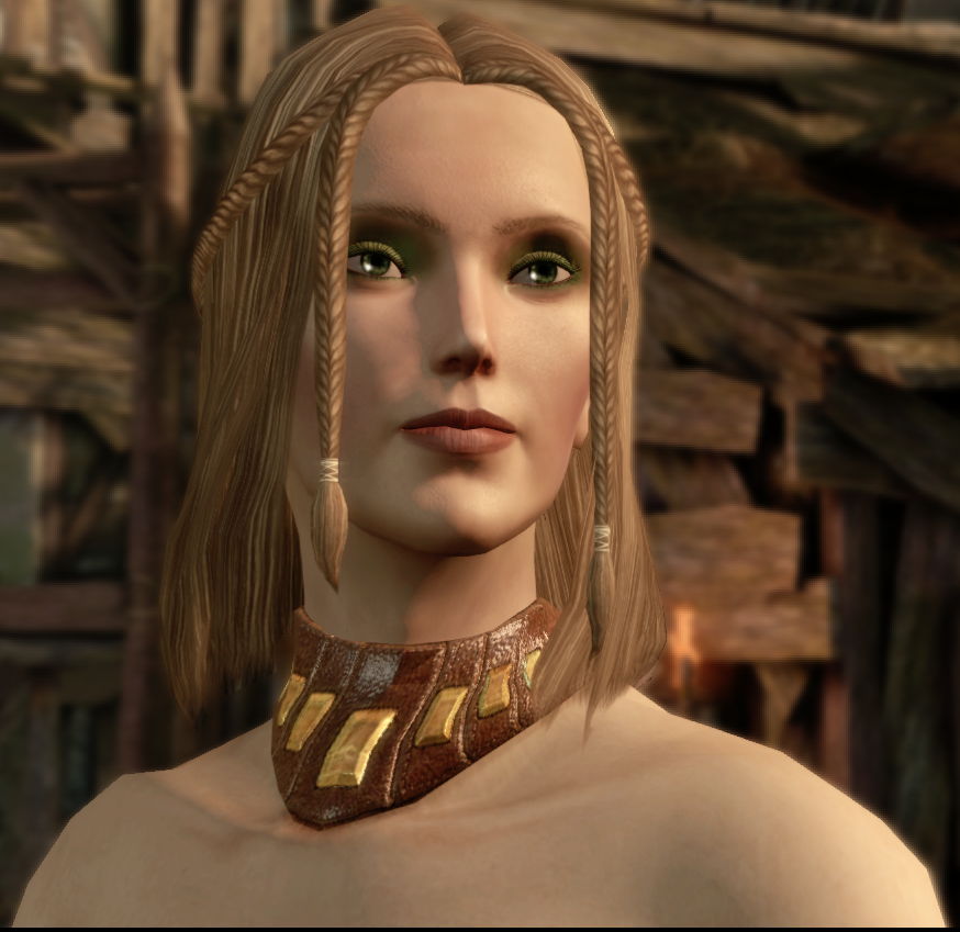 City Elf Origin  Dragon age origins, Dragon age characters