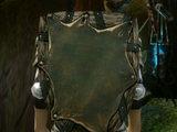 Swiftrunner's Shield