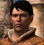 Carver Hawke: Hawke's warrior brother.