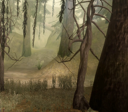 Guide for Dragon Age: Origins - Brecilian Forest