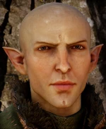 Солас: Эльфийский маг-отступник и эксперт по Тени