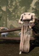 Ruinas de una estatua de Ghilan'nain en un campamento dalishano.