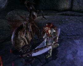 Sunder arm2