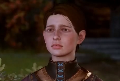 Epilogue (Origins), Dragon Age Wiki