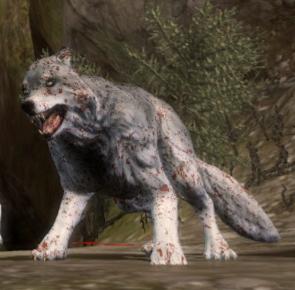 Werewolf, Dragon Age Wiki