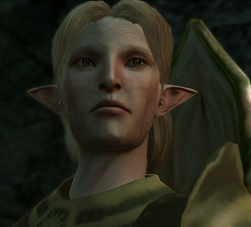 Fenarel as he appears in Dragon Age 2 (complex version)