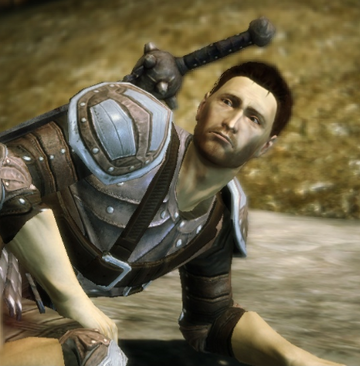 Wikia Dragon Age: Origins Operation Wandering Soul BioWare - Wiki - Snek  Transparent PNG