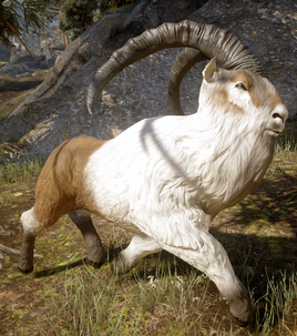 Ram-Hinterlands