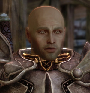 Elven Alienage Dragon Age Wiki Fandom