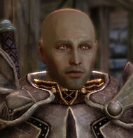 Dragon Age: Origins, Elven Alienage All Quests